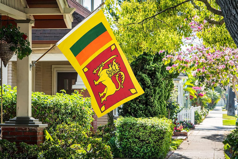 DANF Sri Lanka Flag 3X5 Ft Thick Polyester, Fade Resistant, Brass Grommets, Canv gallery