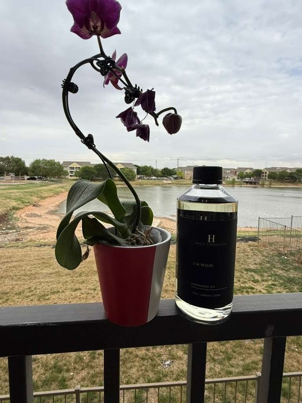 24k Magic 500ml Diffuser Oil Inspired By W Hotels, Hotel Collection, AROMA360 gallery
