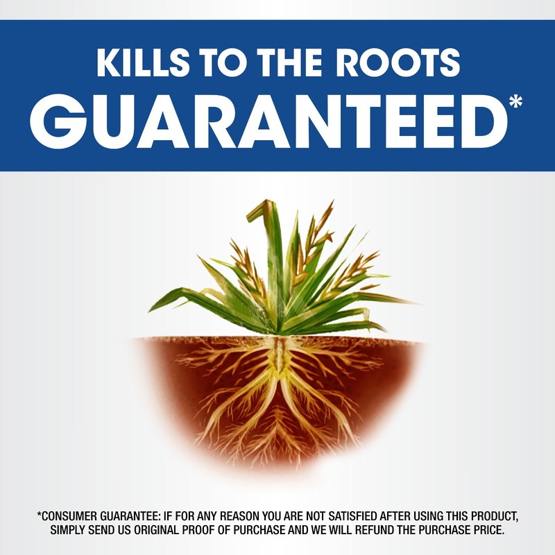 Roundup Weed & Grass Killer4 Concentrate, 1 gal. gallery