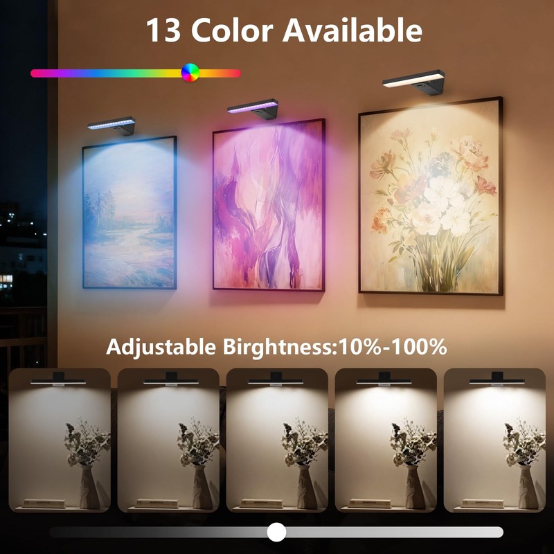 Picture Lights for Wall,Wireless Battery Operated Picture Light,Art Gallery L... gallery