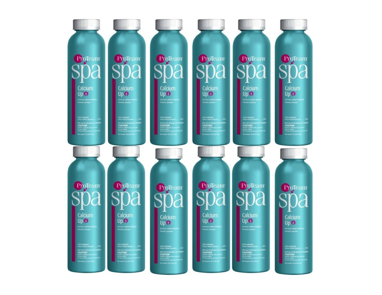 12 ProTeam Spa Calcium Up Increaser 1 lbs - Free Shipping gallery