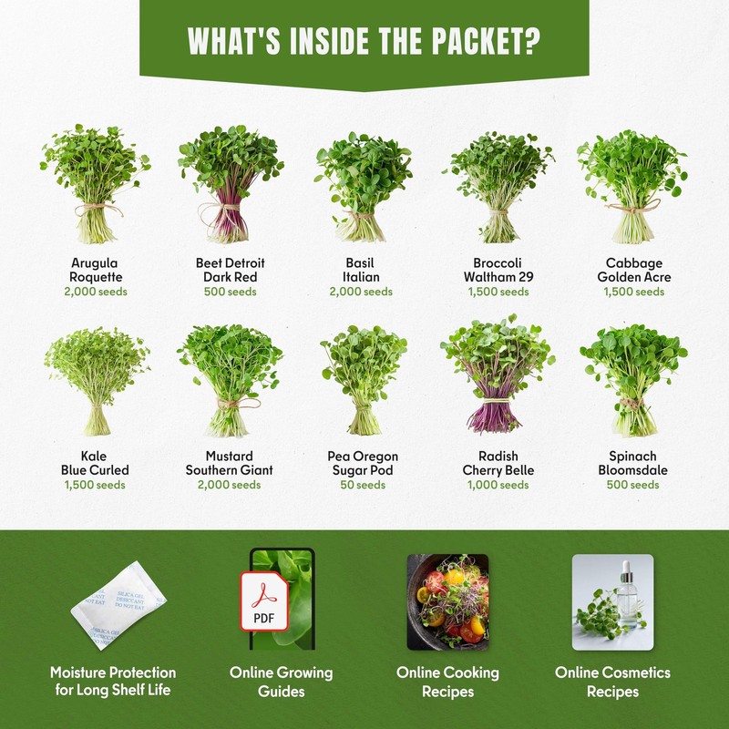 Microgreens Variety Pack 10 NonGMO Seeds for Indoor & Outdoor Growing gallery