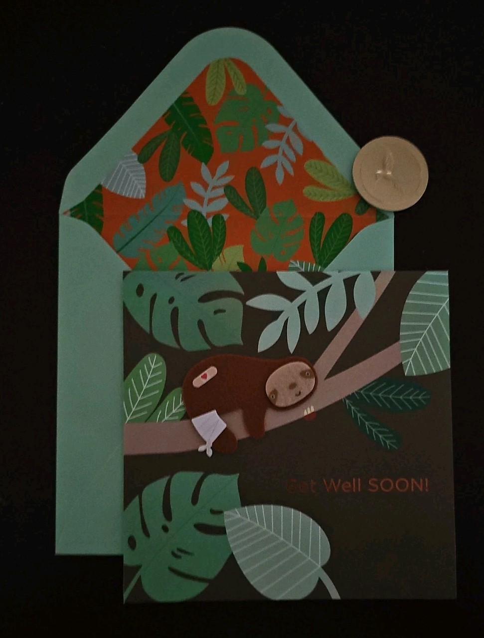 Papyrus Get Well Soon Card With Sloth gallery