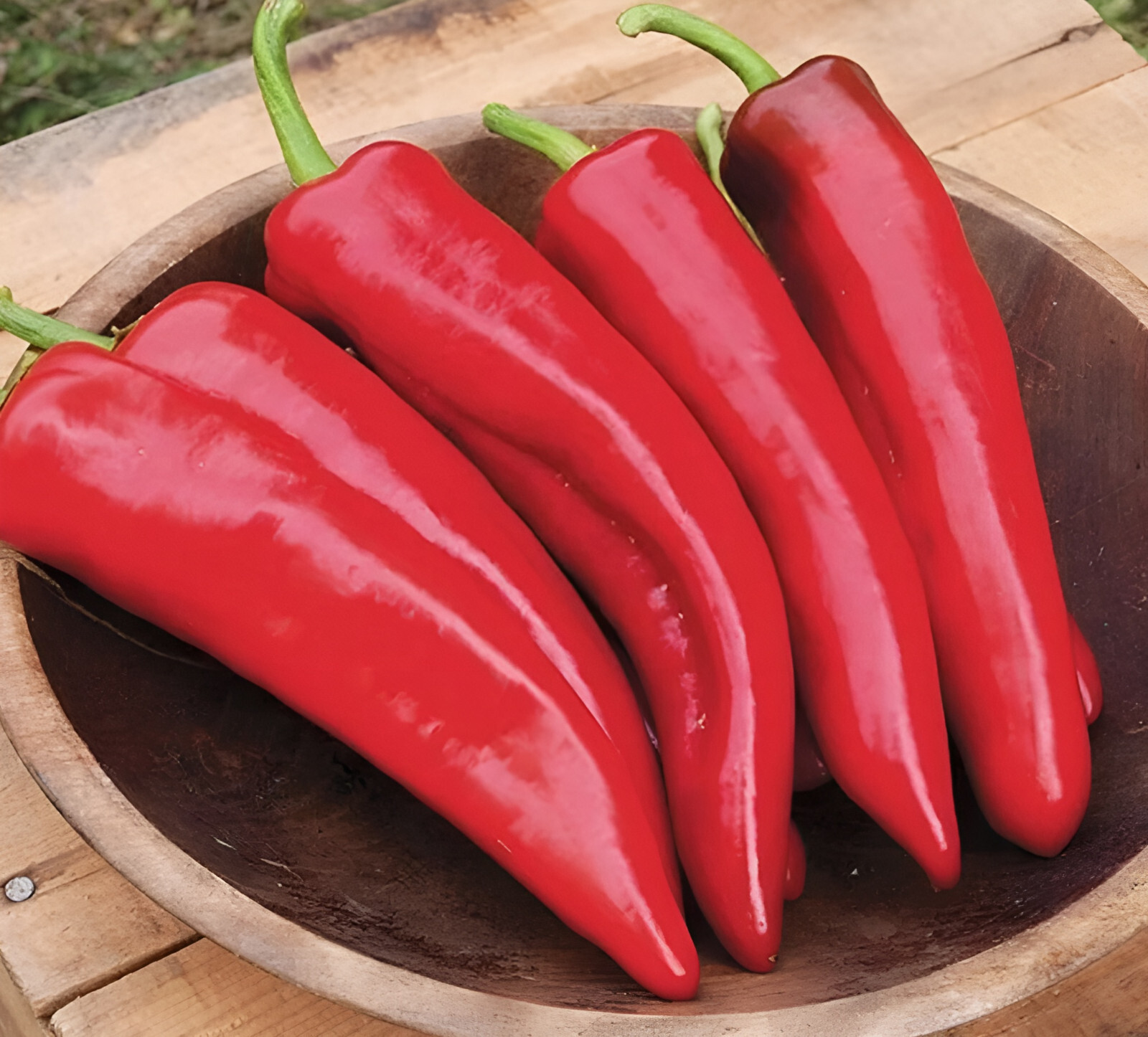 75ct Guizeppi NuMex Hatch Chili Pepper Seeds! Medium Heat! Med Size Hatch @ 3"-4 gallery
