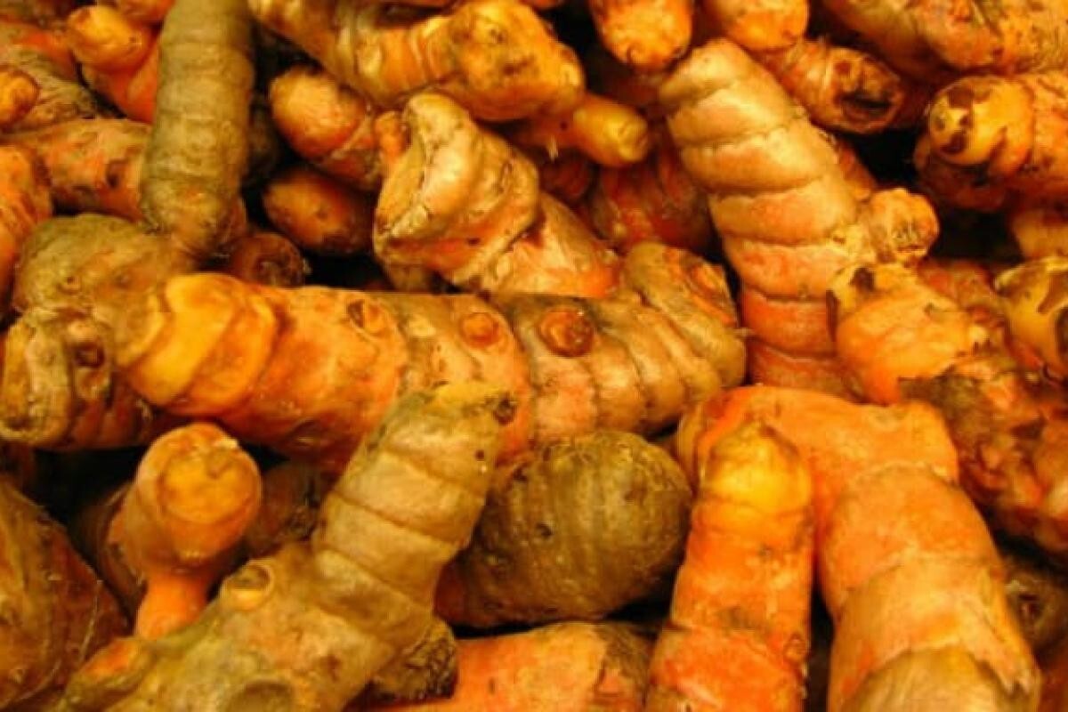 Turmeric Root, Fresh Whole Turmeric Root, Sold by weight . gallery