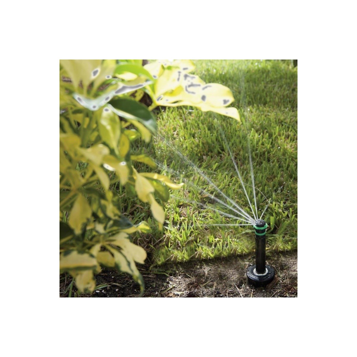 K Rain Pro S 4 in Adjustable Pop-Up Rotary Spray Nozzle 30651-PR40 gallery