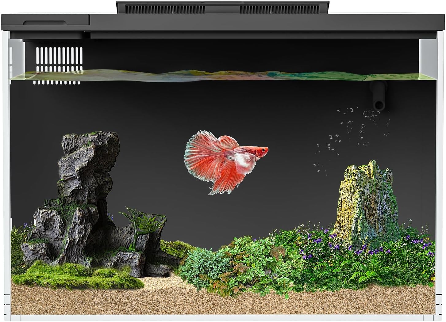 Smart 4 Gallon Betta Fish Tank with APP Control, Filter, Light & Self-Cleaning gallery