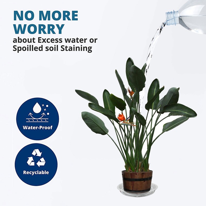 Plastic Clear Thick Sturdy Plants Saucer Drip Trays 5/10/15Pcs 6/8/10/12Inch gallery