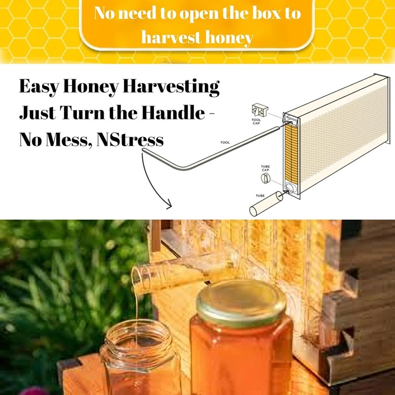 Automatic Beehive Starter Kit Cedarwood Beekeeping Box with 7pcs Auto Bee Frames gallery