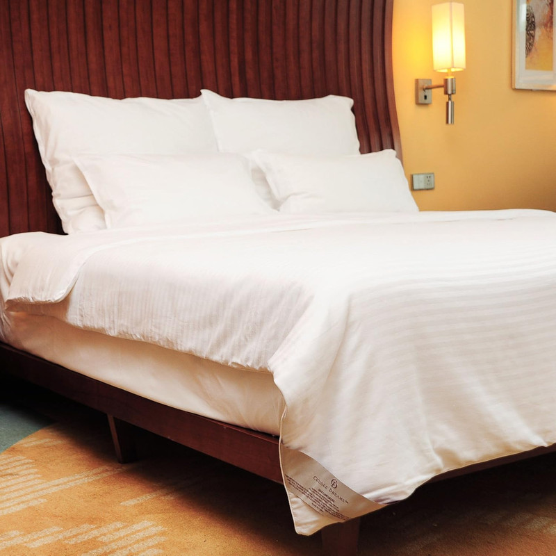Silk Comforter for Spring/Summer/Fall, 100% Long-Strand Silk Filling, Natural & gallery