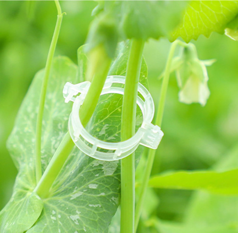 100Pcs Plant Support Clips Tomato Veggie Garden For Trellis Twine Greenhouse gallery