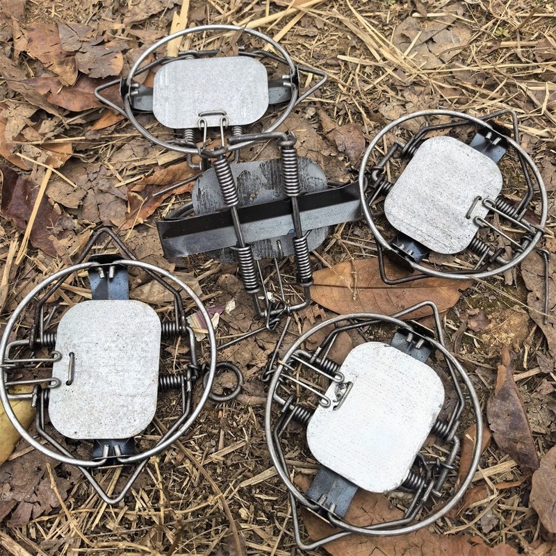 5 Pieces 5-1/10In / 13cm Coil Spring Nutria Mice Fox Gopher Mole Rat Mouse Trap gallery