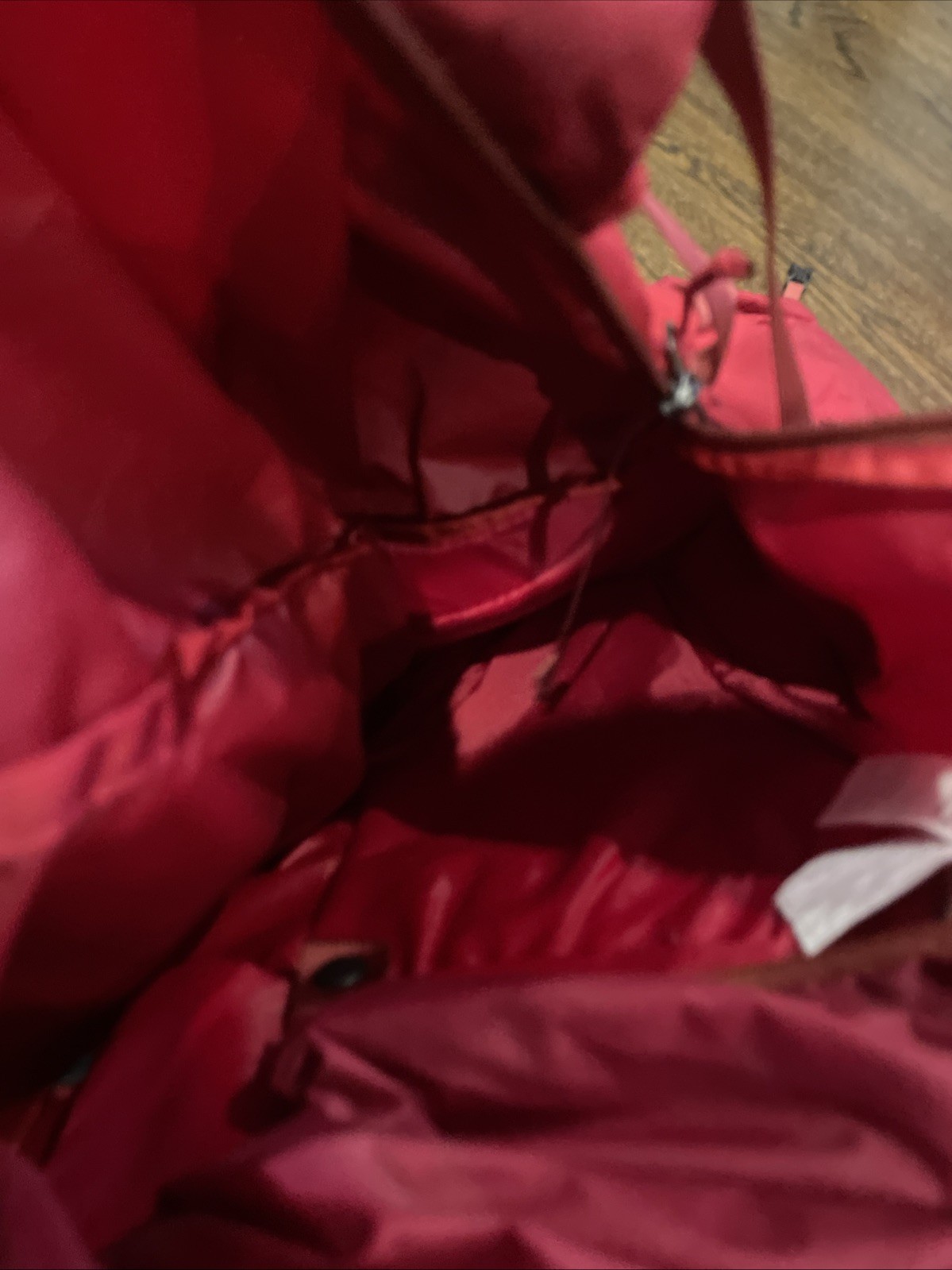 Patagonia Red Backpack 5