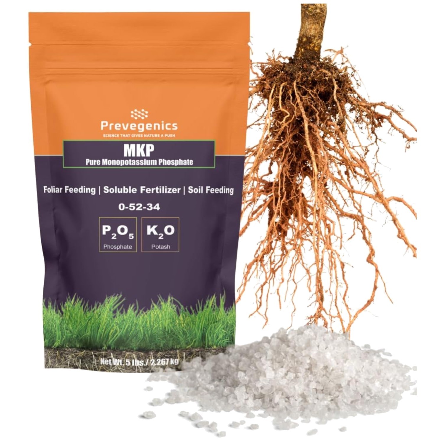 Strong Root Development | Flower & Fruit Fertilizer 0-52-34 gallery