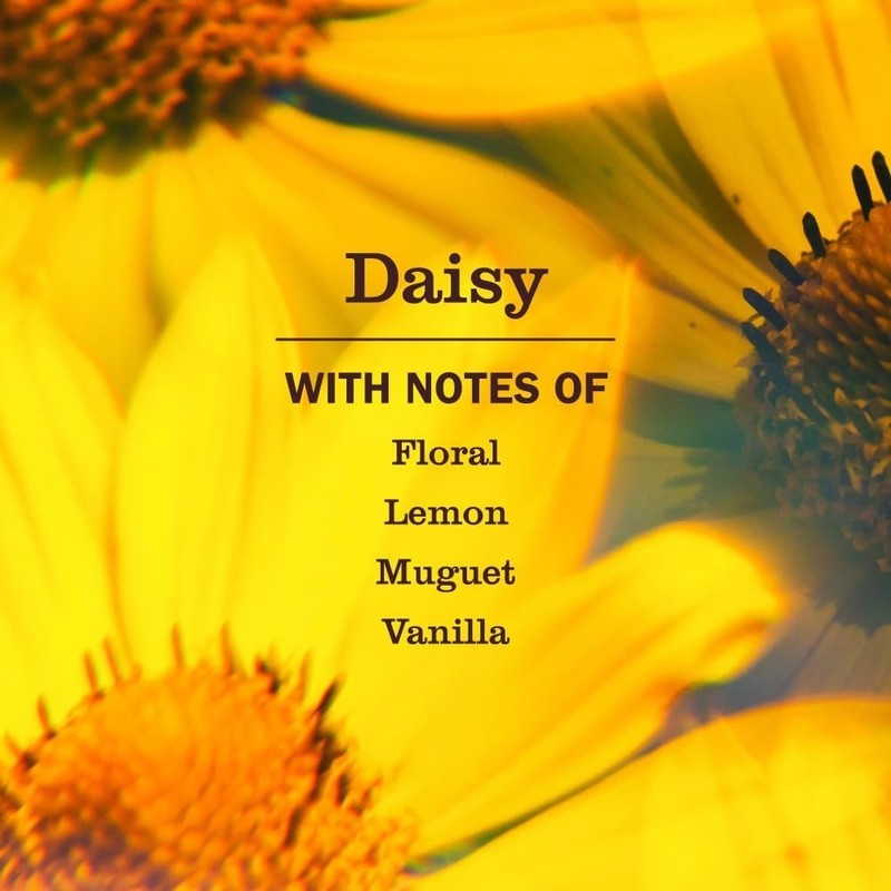 Daisy-Scented Mrs. Meyer's Dish Soap - 16oz Biodegradable & Cruelty-Free Formula gallery
