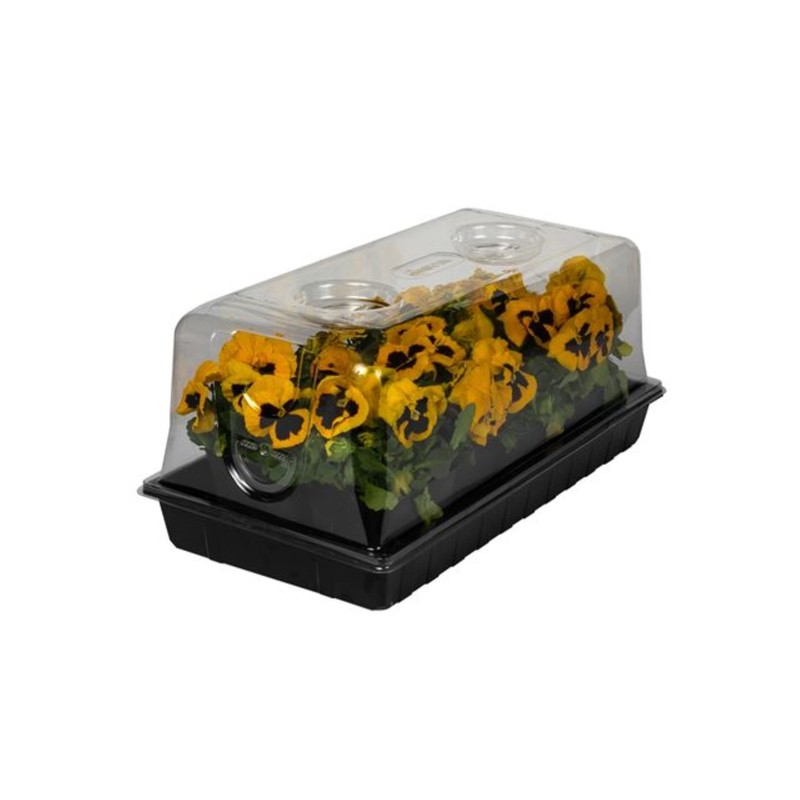 SunKit Mini-Greenhouse System For Germination and Propagation gallery