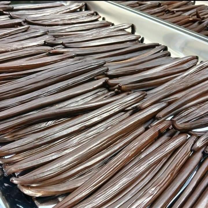 Sumatera Organic Vanilla Beans Grade A - 10 Pods, 7" Long gallery