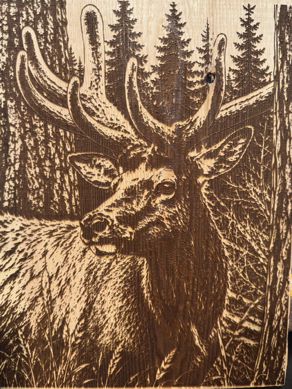 Rustic Bull elk Wall Plaque Sign, Nature Animals, Brown/Beige, Vertical gallery