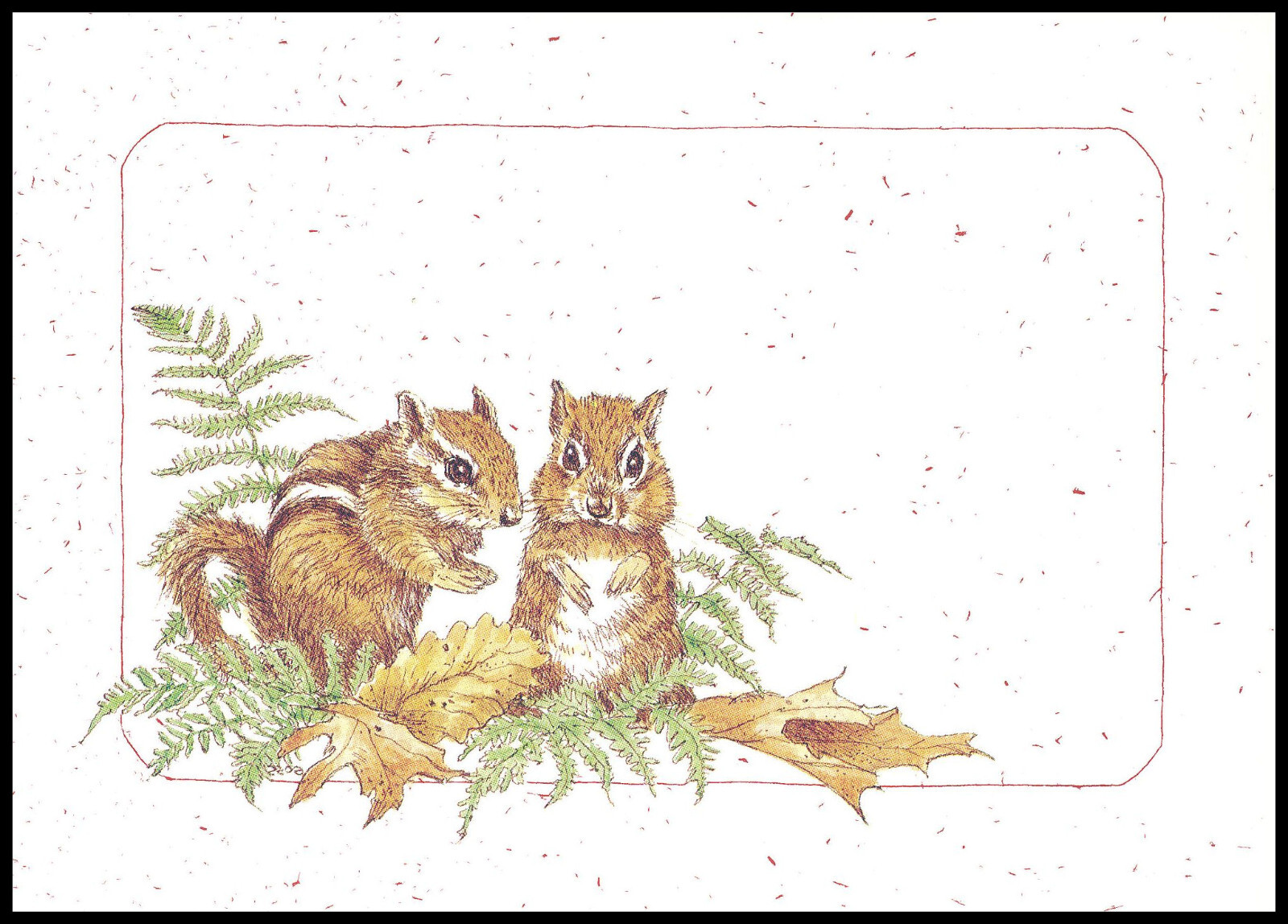 Greeting Card - Eastern Chipmunk - Barbara Goss - Any Occasion 0964 gallery