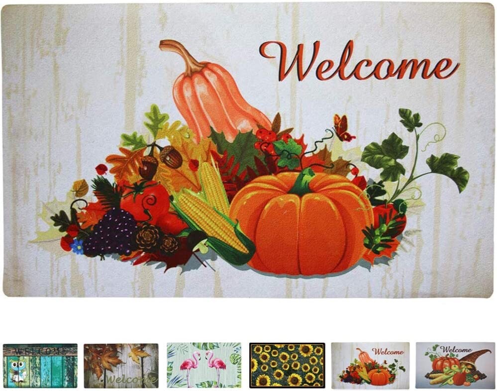 Fall Doormat Non Slip Front Door Mat, Easy to Clean Low Profile Mat for Entry Pa gallery