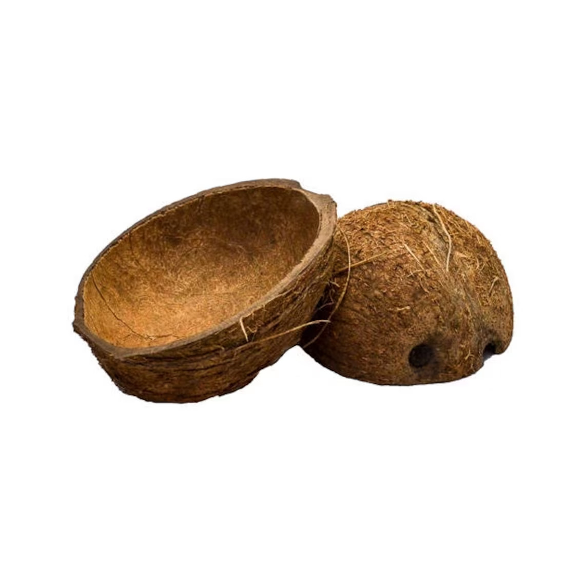 COCONUT SHELL 100% Natural Eco Friendly Halves Reptile Candle Decor USA SELLER gallery