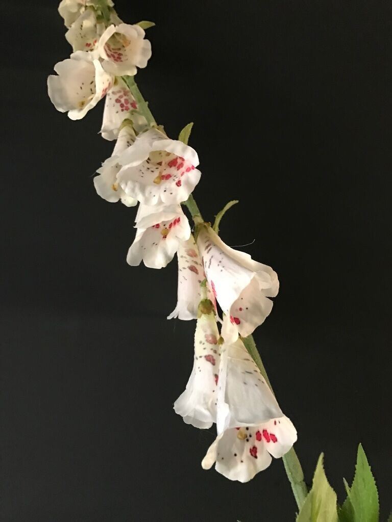 Artificial White Foxglove, Tall Faux Silk Flowers, Pink Cream Wild Flower 110cm gallery