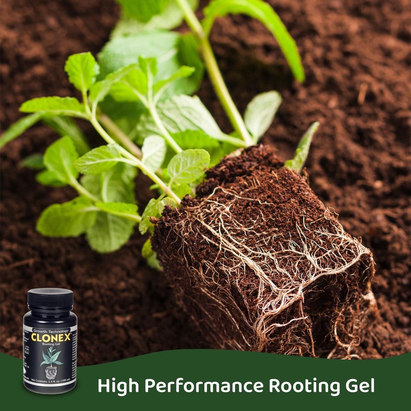 Rooting Gel - High-Performance Compound for 100 ml, Brown gallery