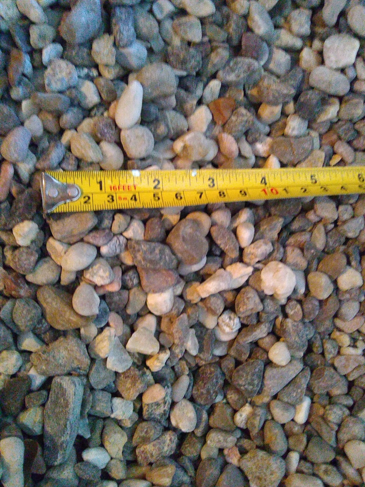 Texas Rainbow 3/8" Decorative Pebble Stones River Rocks 5 Pounds gallery