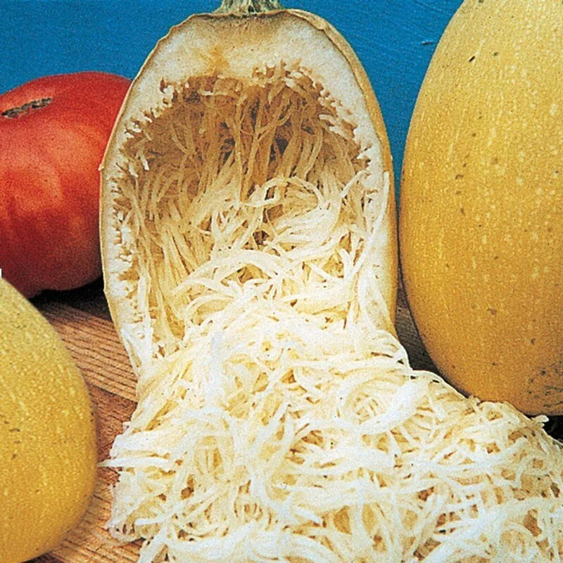 50+ SPAGHETTI SQUASH SEEDS - WINTER - HEIRLOOM - ORGANIC - NON GMO ------- FRESH gallery