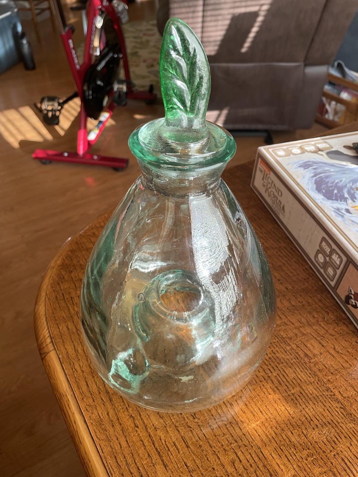 Vintage Green Glass Bug Trap With Leaf Stopper Indoor Outdoor - Made In Spain gallery