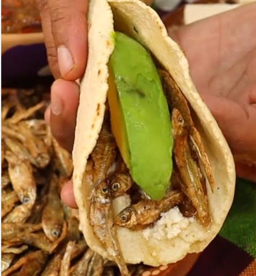🇲🇽Dry Salted Fish Charales Snack From OAXACA MEXICO 10 Oz Each gallery