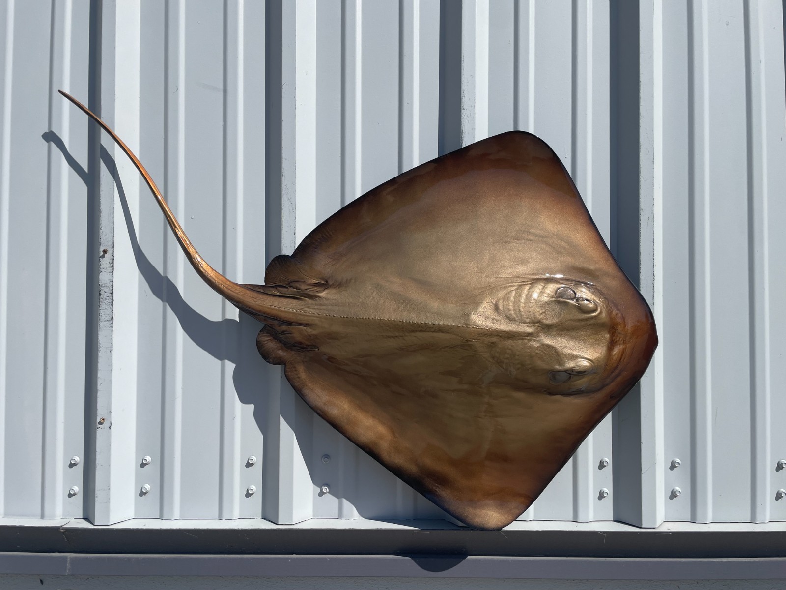 46" Southern Stingray Half Mount - Quick Production gallery