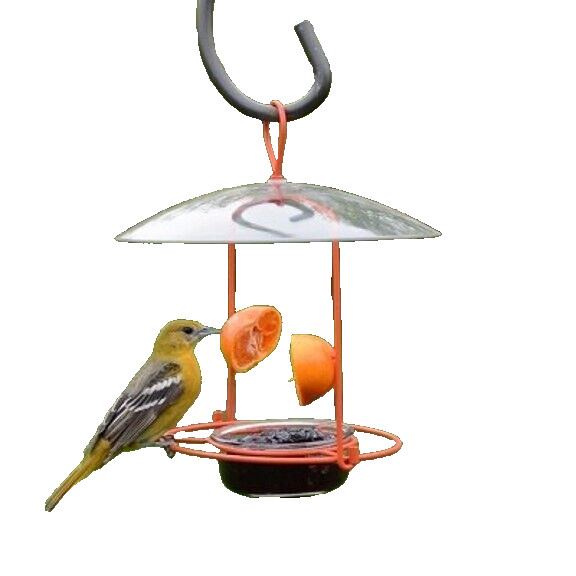 Meijer Wire Oriole Feeder gallery