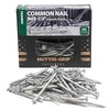 Huttig Grip 8d Framing Common Nail 2-1/2 in HGN8OGC1 Galvanized 1 lb 104 Nails gallery