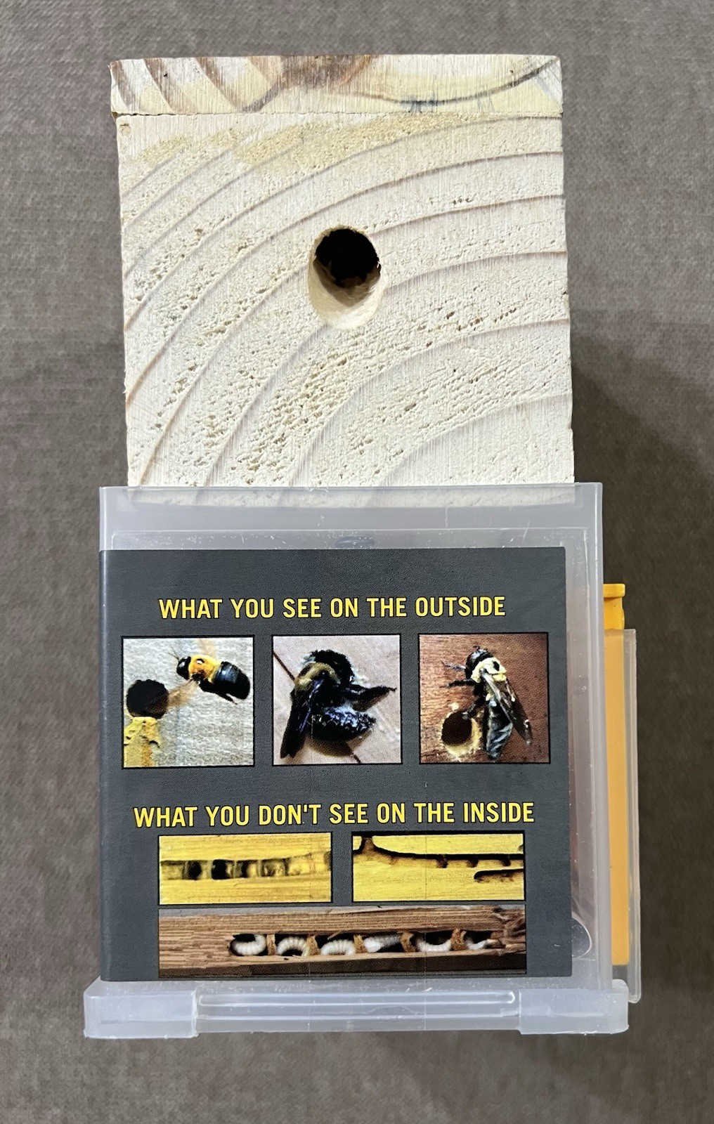Bees 'N Things Outdoor Carpenter Bee Traps - Catch & Release -New gallery