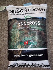 Penncross Creeping Bentgrass Seeds – 2 Lbs. (Certified)