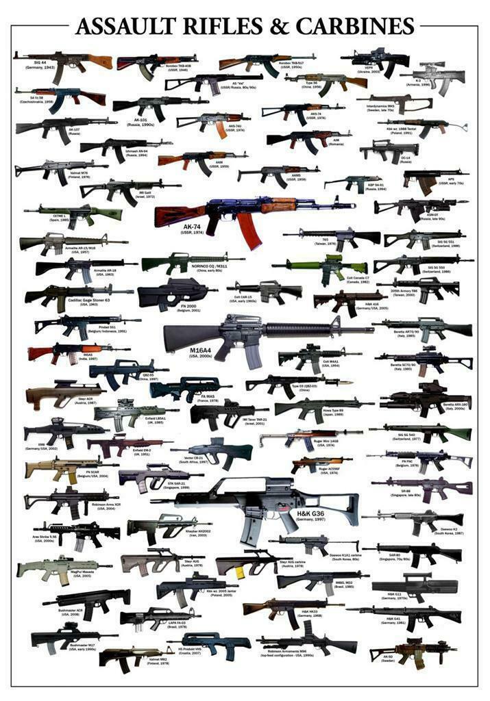 ASSAULT RIFLES & CARBINES GLOSSY POSTER PICTURE PHOTO guns weapons ak47 2010 gallery
