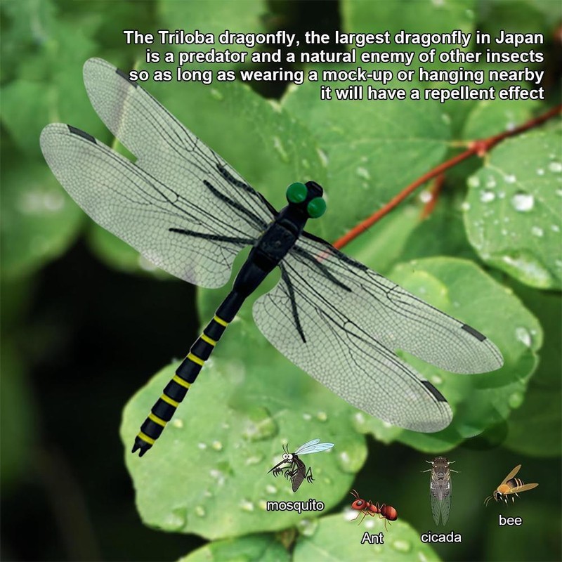 4 PCS Simulation Dragonfly Insect Model Mosquito Repellent For Garden Outdoor gallery