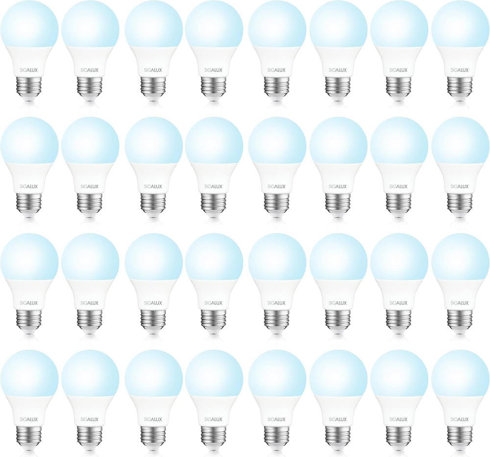 A19 LED Light Bulb 60W Equivalent, E26 Medium Base 5000K Daylight 800LM, Non-Dim