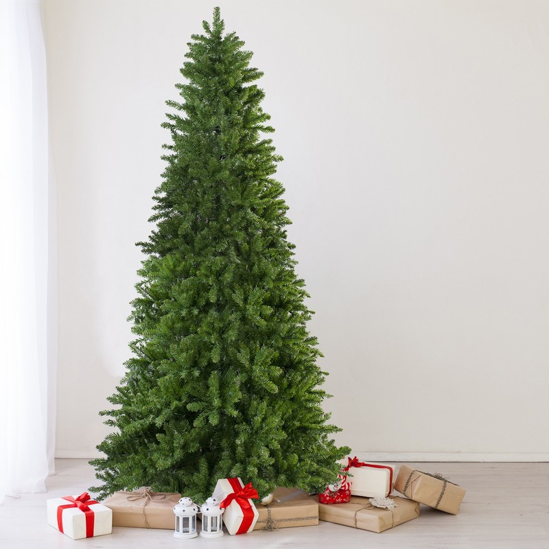 Northlight 12' x 70" Eastern Pine Slim Artificial Christmas Tree - Unlit gallery
