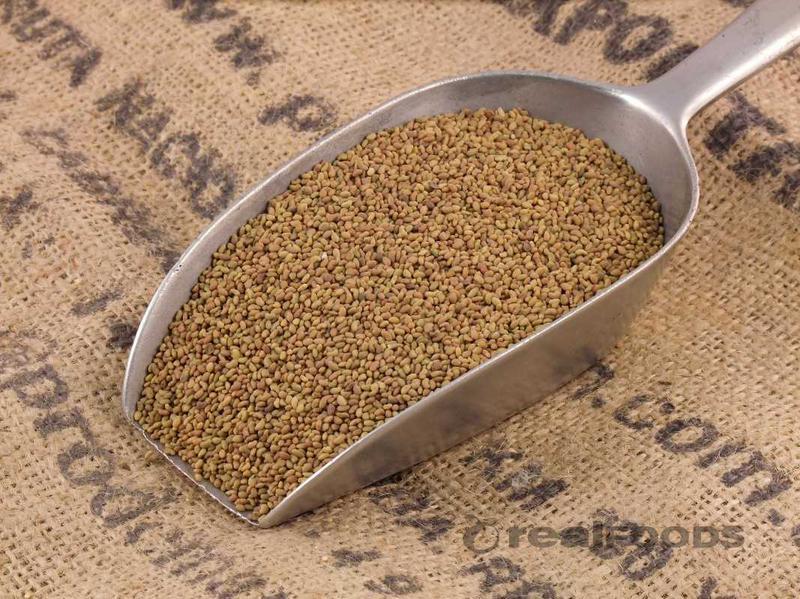 Sprouting Seeds Certified (NON-GMO) Organic Alfalfa Seeds gallery