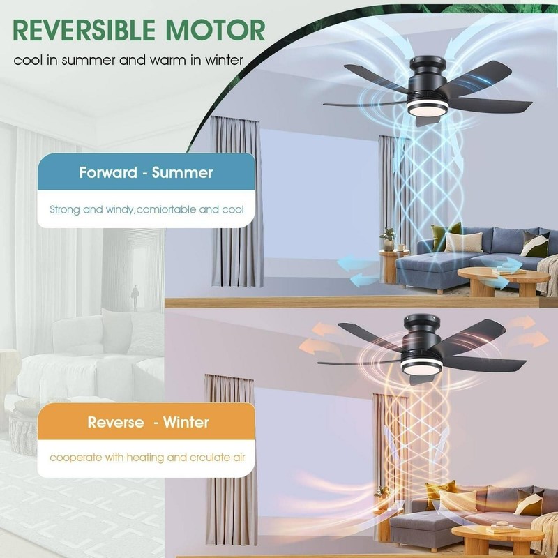 41 Inches Ceiling Fan With Light,5 ABS Blades,Flush Mount Low Profile Ceiling - gallery