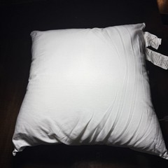 West Elm Pillow Insert Form White Decorative Pillow 20”x20” Cotton USA Made NEW