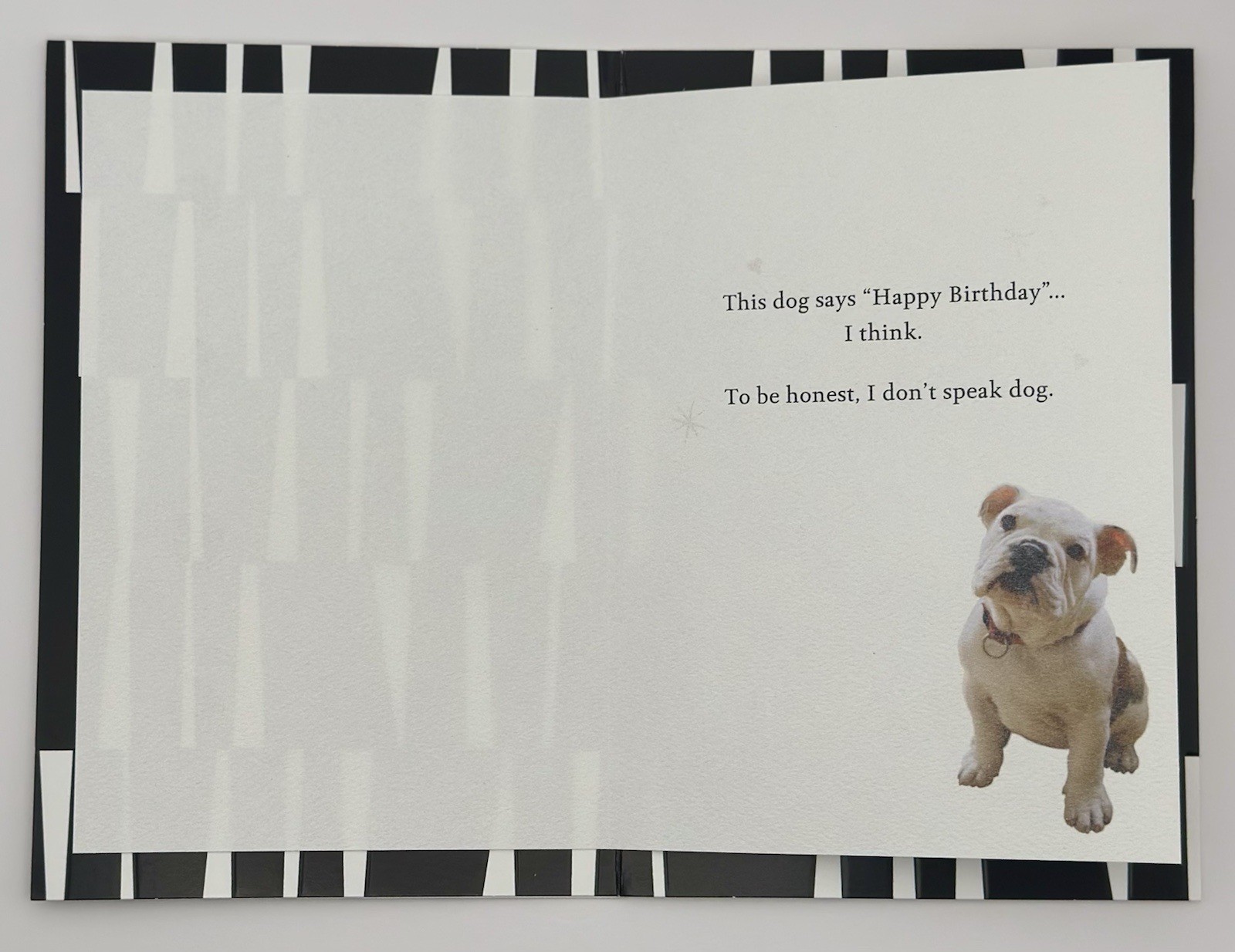 “ HAPPY BIRTHDAY GREETING CARD” ALL AGES / CUTE DOG / FUN gallery