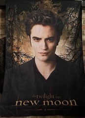 Edward Cullen Tapestry Wall Hanging Decor Tapestry 60″L x 40″W