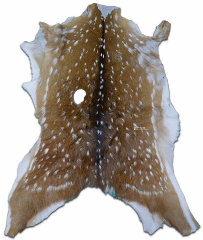 Axis Deer Skin Second Grade Axis Deer Hide Size: 38"X30" Chital deer hide gallery