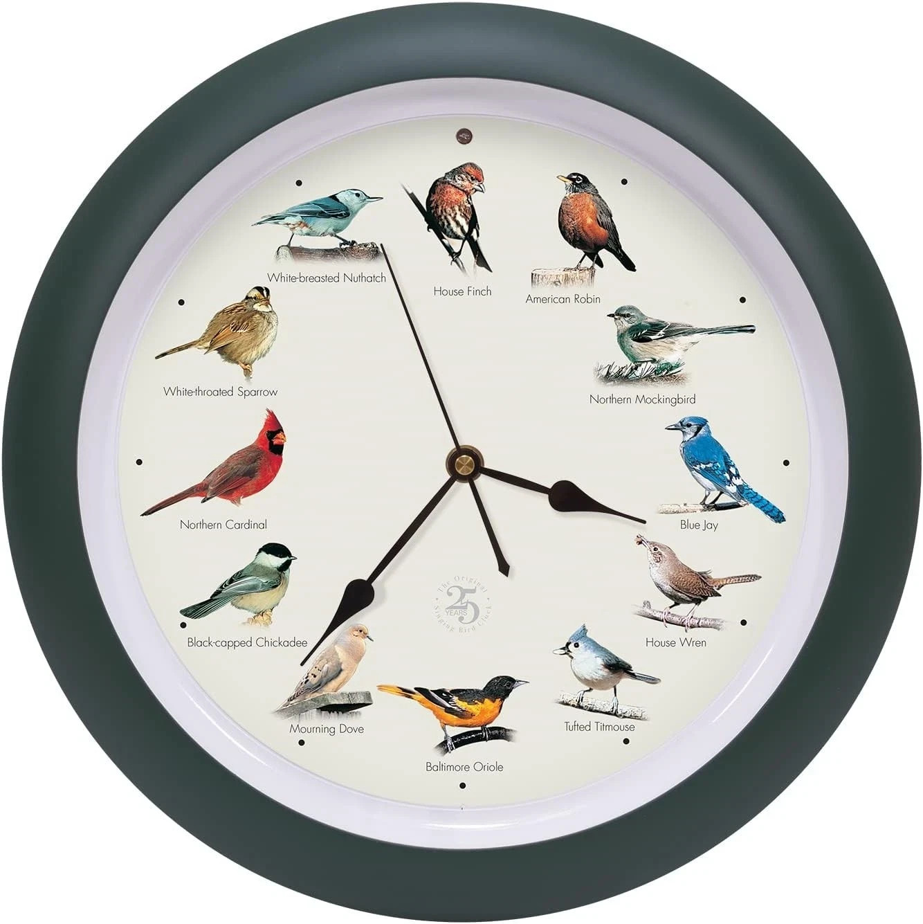 The Original Singing Bird Hanging Wall Sound Clock, 8 Inch, Green gallery