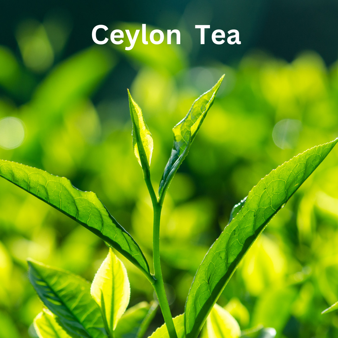 Premium Ceylon Tea OP grade |100% Pure Natural Loose Leaf Tea |Best Quality gallery