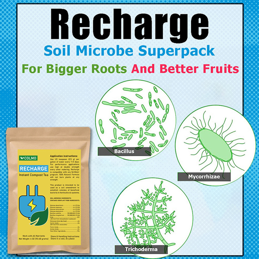 Recharge - Soil Microbe Superpack Natural Plant Growth Stimulant-4OZ gallery