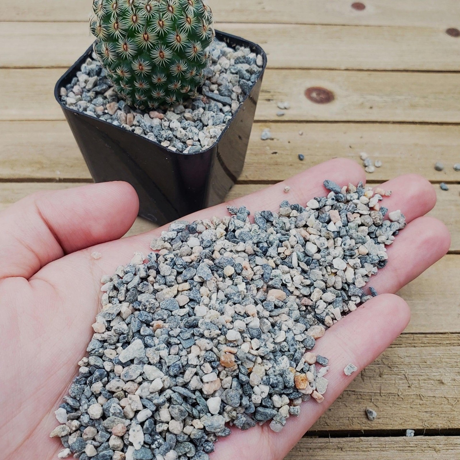 1lb #10 Grid Top Soil Dressing Pebbles for seed germination gallery